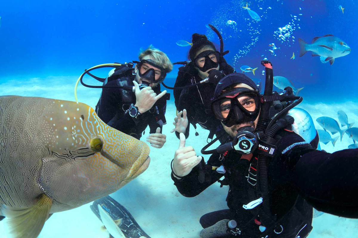 How To Research Dive Sites Before You Travel